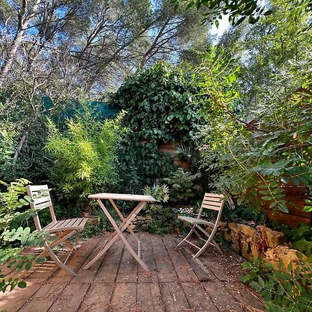 Charmant Studio Lodge Climatise Avec Jardin Et Vue Sur Le Pic Saint Loup Jacou 外观 照片