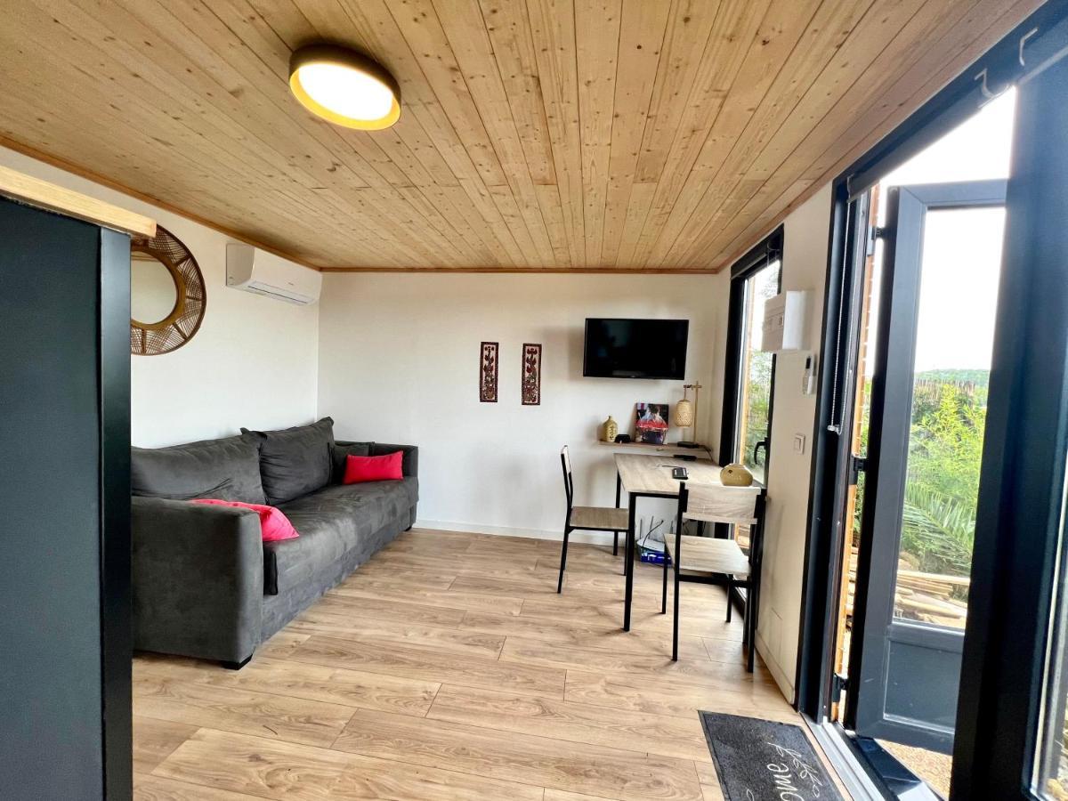 Charmant Studio Lodge Climatise Avec Jardin Et Vue Sur Le Pic Saint Loup Jacou 外观 照片