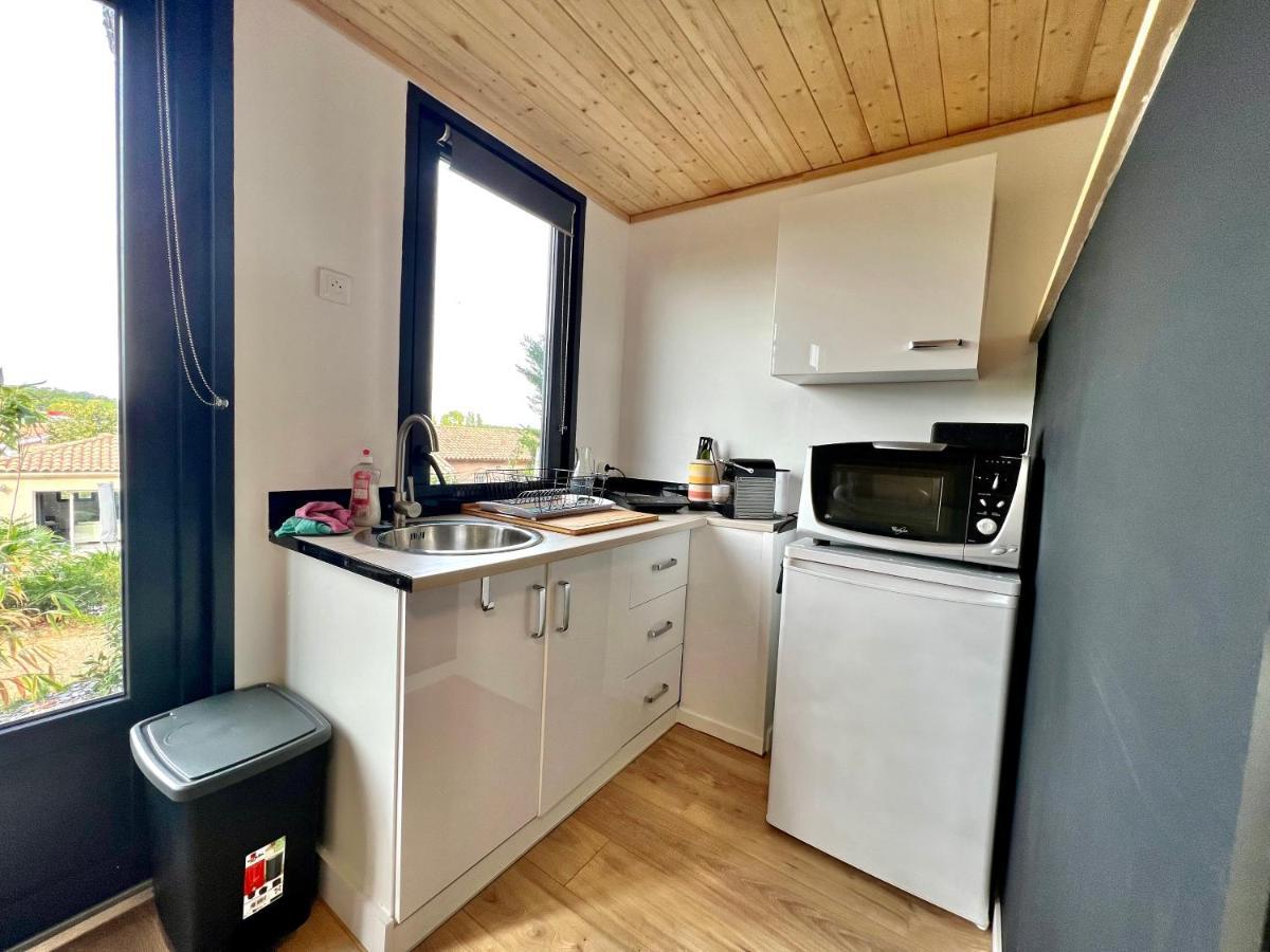 Charmant Studio Lodge Climatise Avec Jardin Et Vue Sur Le Pic Saint Loup Jacou 外观 照片