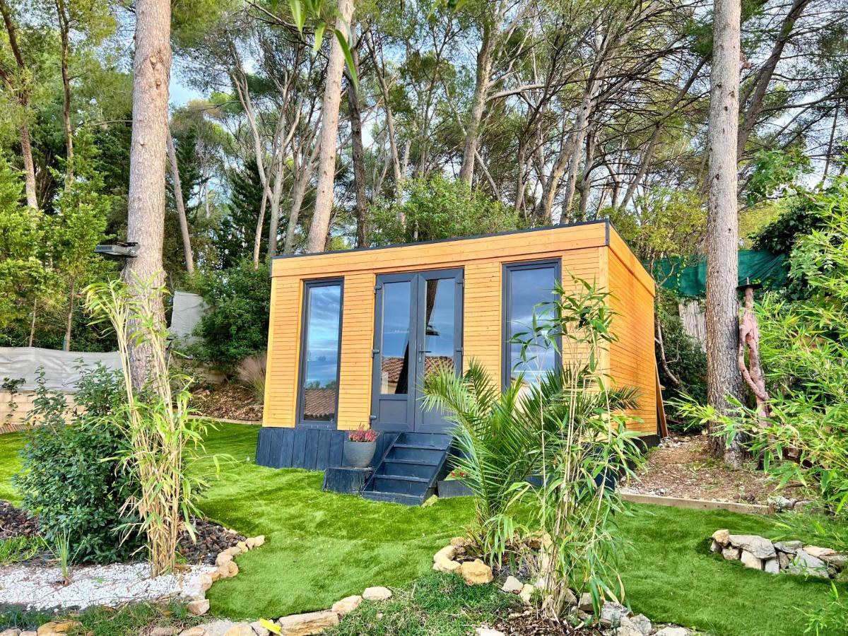 Charmant Studio Lodge Climatise Avec Jardin Et Vue Sur Le Pic Saint Loup Jacou 外观 照片