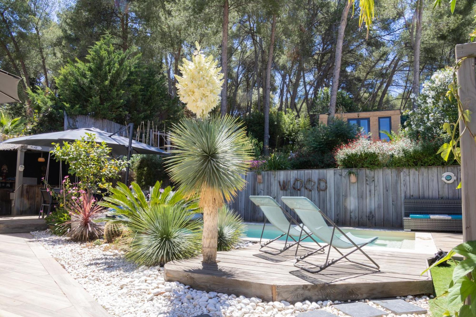Charmant Studio Lodge Climatise Avec Jardin Et Vue Sur Le Pic Saint Loup Jacou 外观 照片